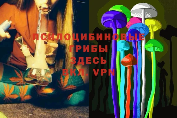 прущие крисы Гусев